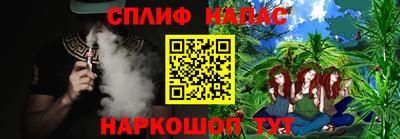 СК Кингисепп